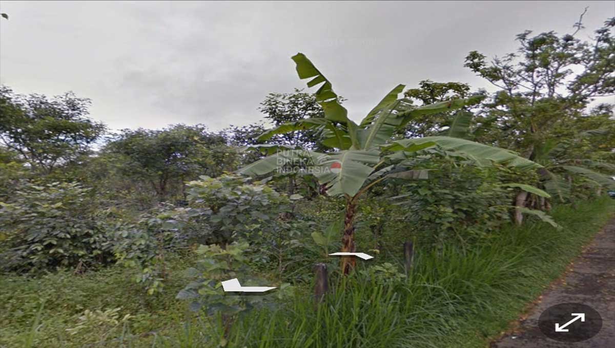 Tanah 50 Are 50 jt/Are Kintamani , Bangli BR-1998