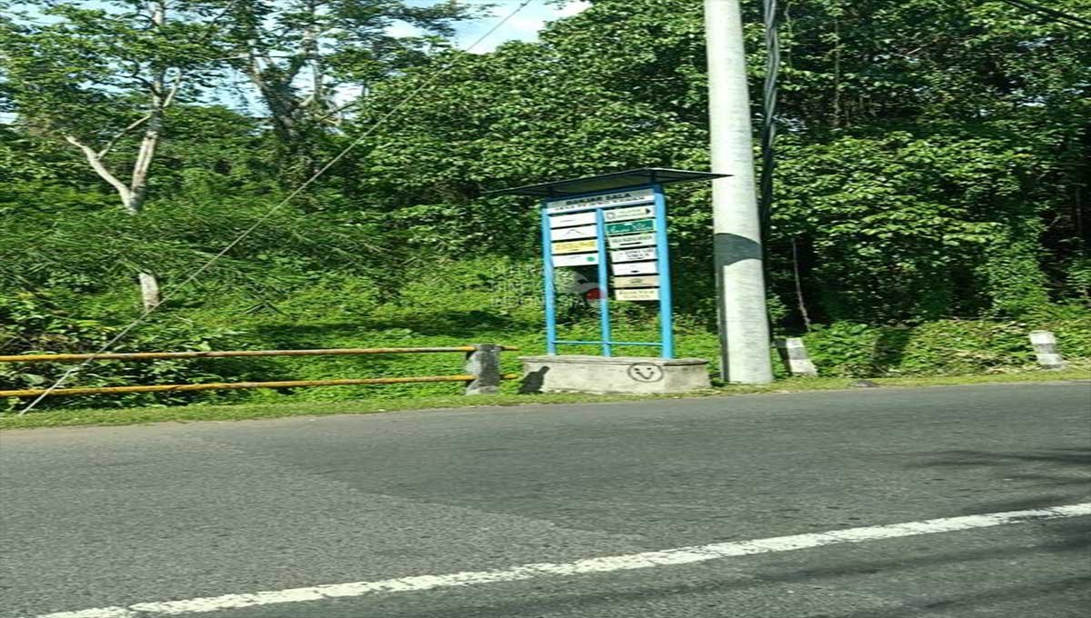 Tanah 35 Are 450 jt/ Are Ubud -Gianyar,Bali DZ-2014