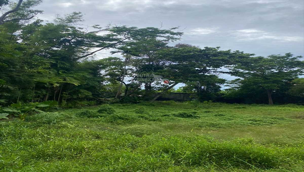 Tanah Komersial 23,9 Are  jln raya kayu Cendana JH-2130