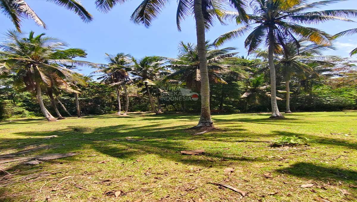 Tanah 88 Are 50 jt /Are Selemadeg, Tabanan Bali KC-2032