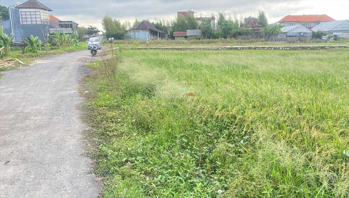 Tanah Sewa 45 Are Kerobokan Kedampang KD-2185