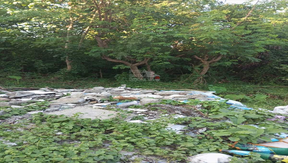 Tanah 5 Are 2M jalan raya canggu,Badung Bali Rk-1960