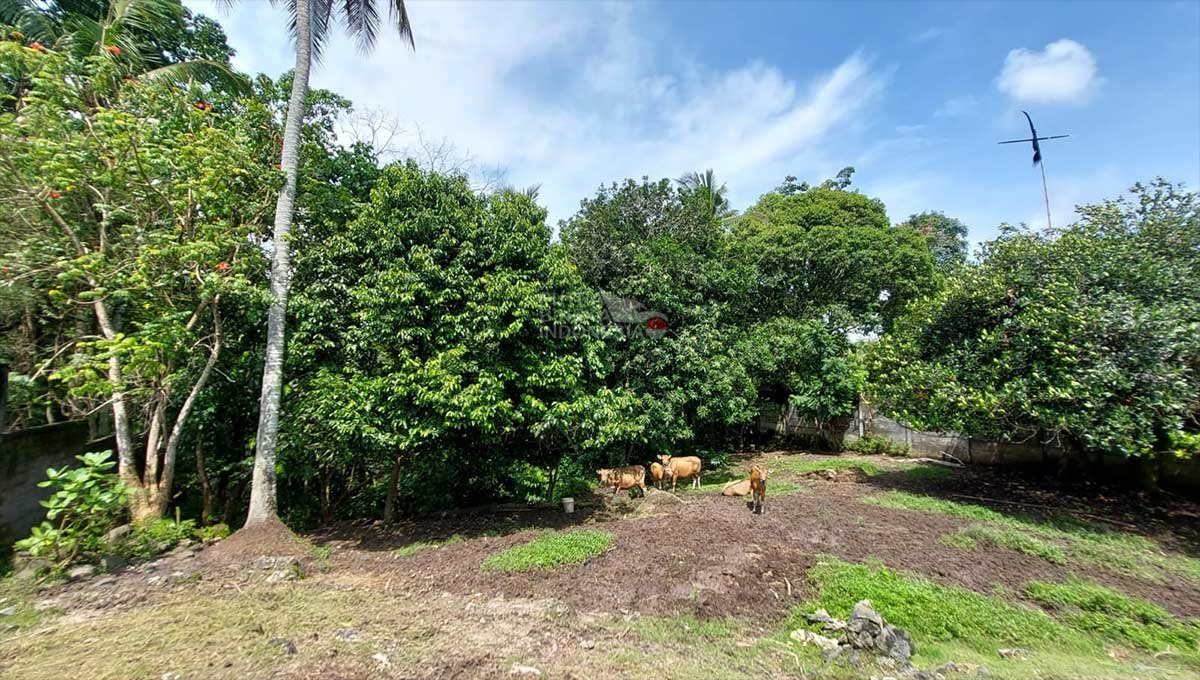 Tanah 17,5 Are Pantai Nyanyi Tabanan , Bali YT-2096