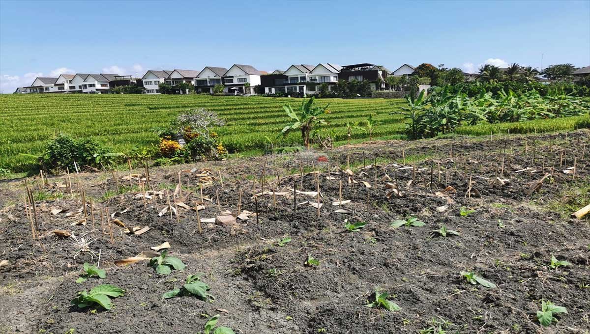 Land 6 Are Pantai Cemagi,Badung Bali KC-2382