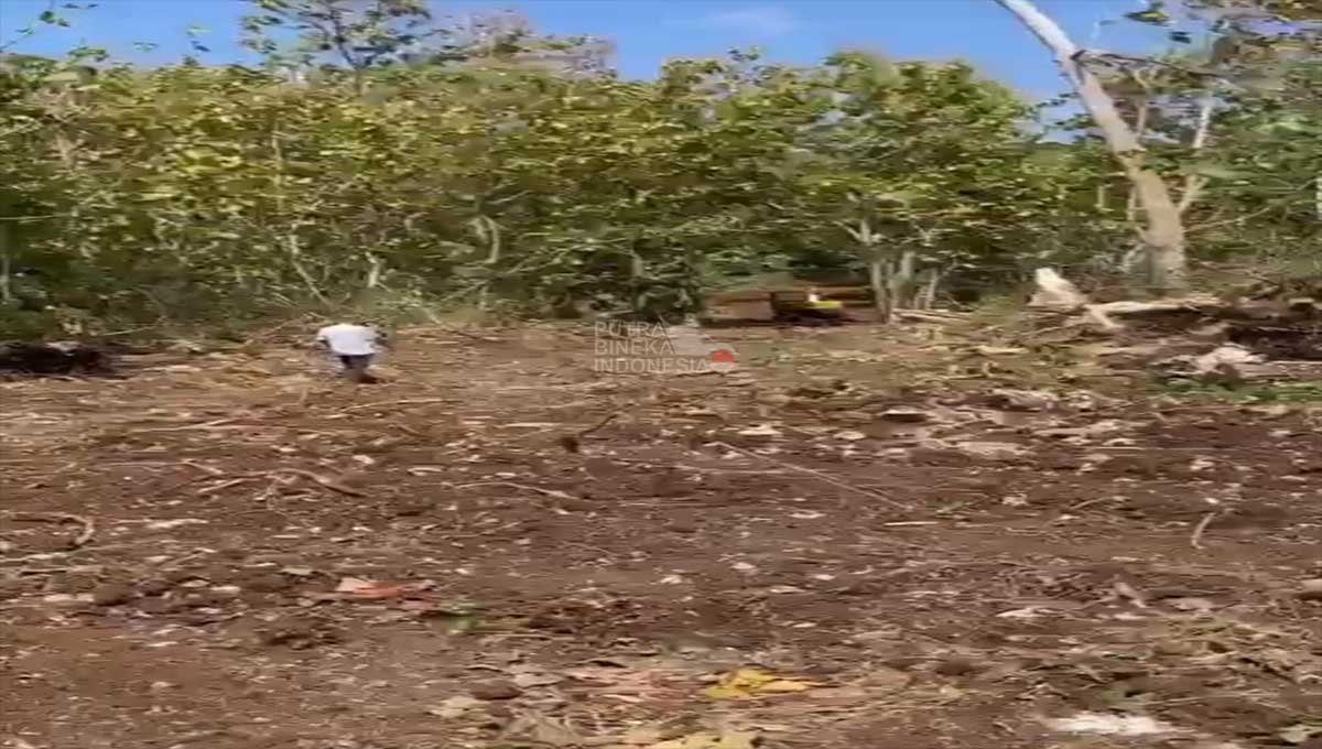 Land Rent 6 Hektar Jimbaran,Kuta Selatan Bali LE-2363