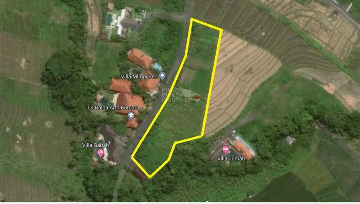 Land 35.8 Are View Rice Fields Tumbak Bayuh Bali YT-2608