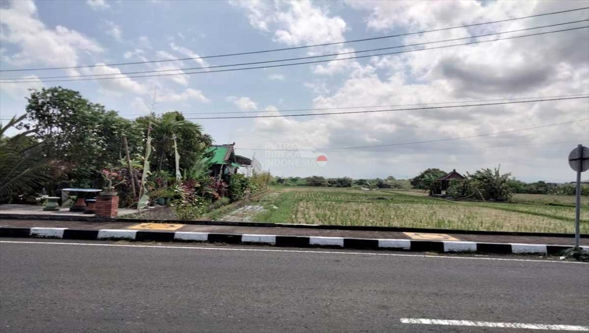 Commercial Land 17 Are Beraban, Tabanan Bali ST-2696