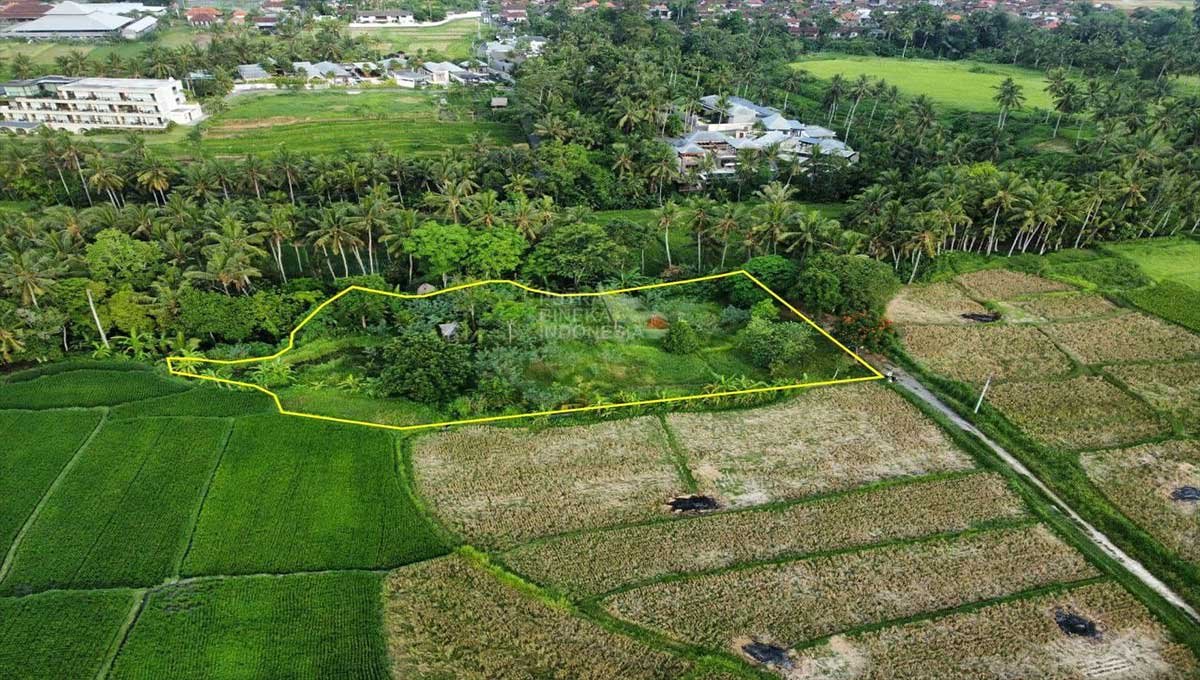 Land 23 Ares View of Rice Fields Lodtunduh, Ubud IJ-2786