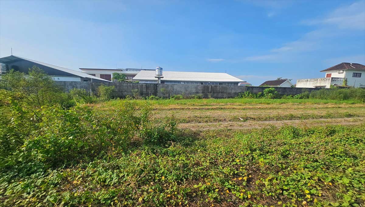 Commercial Land 4.8 Are Mount Salak Denpasar SH-2824