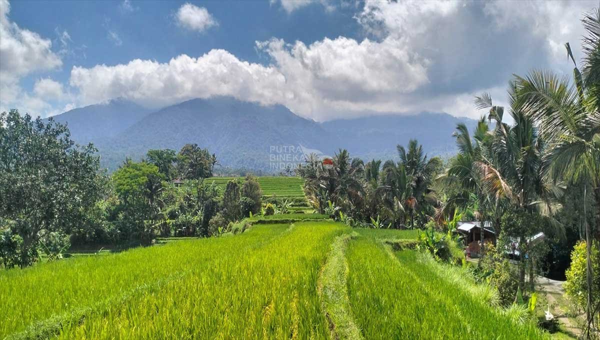 Rare Land 82.8 Are Jatiluwih, Penebel AN-2904