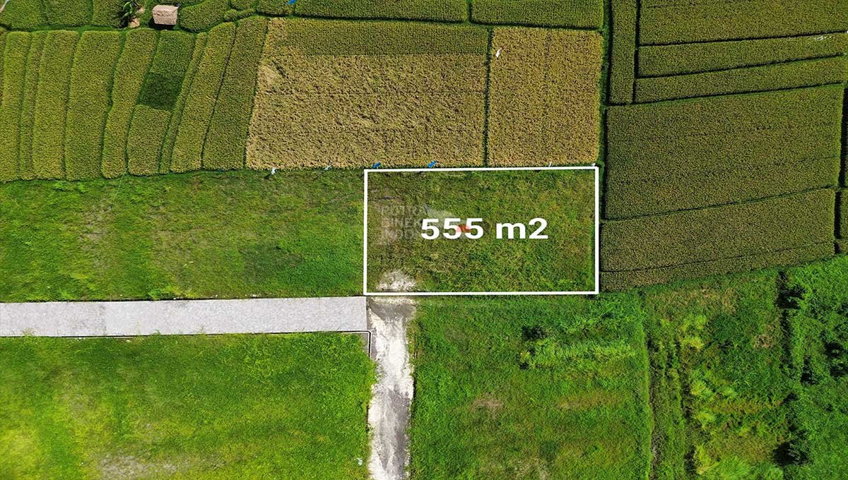 Land View Ricefield 5.55 Are Kedungu, Tabanan EK-2909