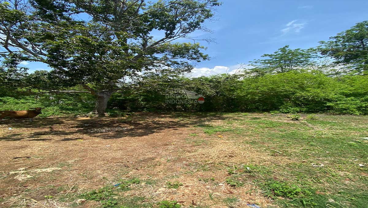 Land 30.8 Are Goa Gong Ungasan, South Kuta IJ-2938
