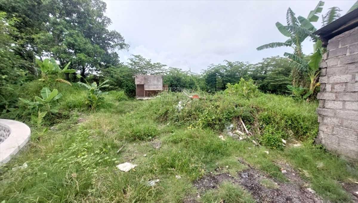 Land Area 4.57 Ares Canggu Main Road, Badung Bali YT-2962