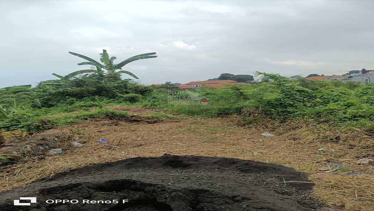 Land 12 Are Kayu Tulang Selatan Canggu AC-3063