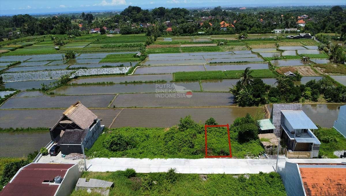 Land 1.66 Are Singakerta Ubud, Gianyar Bali JK-3038