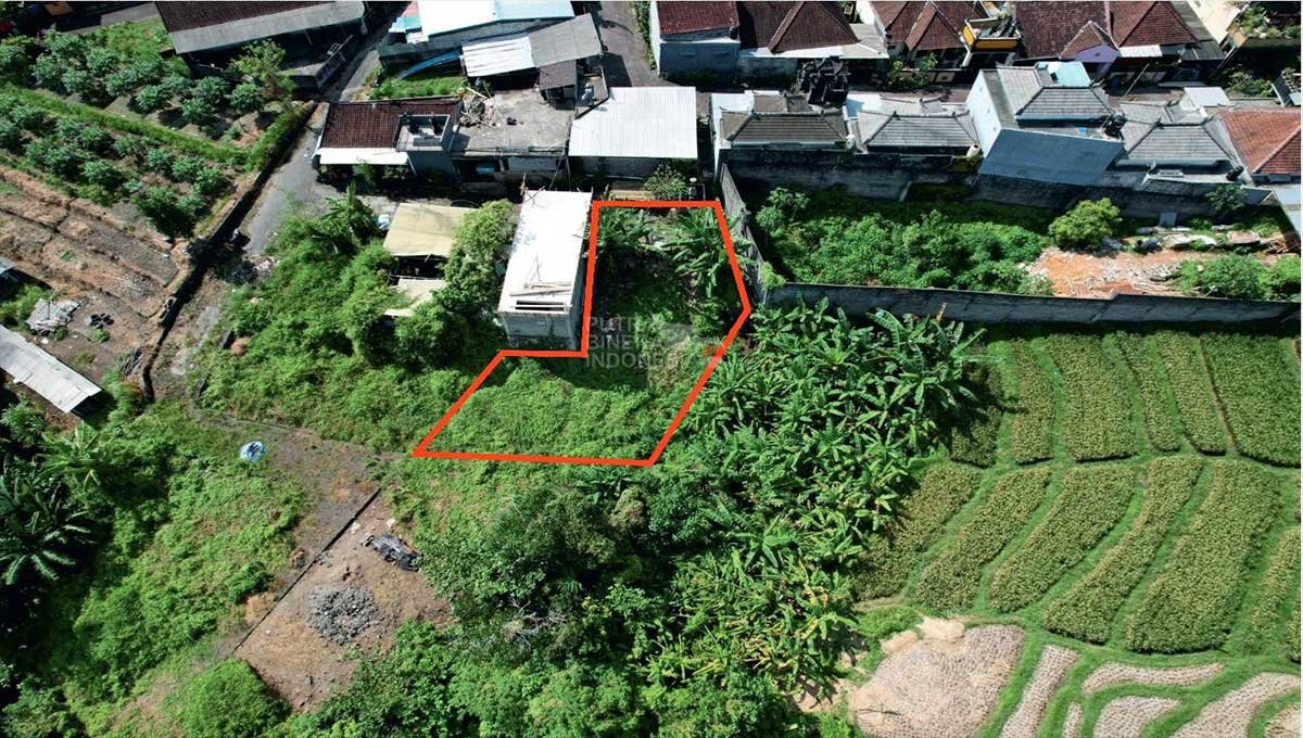 Land 2,5 Are View Ricefield In Buduk,Mengwi KC-3130