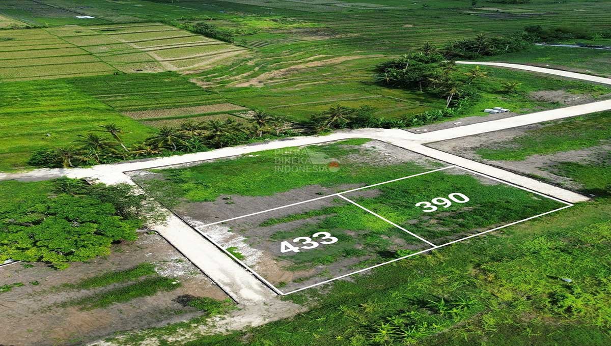 Land 3,9 Are And 4,33 Are Kedungu Beach SN-3120