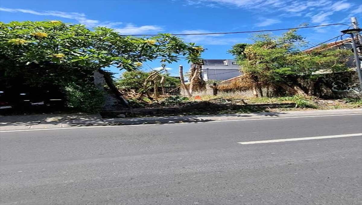 Premium Land 2.34 Are Kayu Tulang Canggu ST-3078