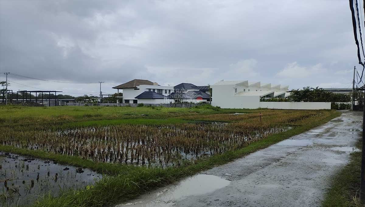 Land Rent 10 Are Gang Mango,Subak Sari ST-3080