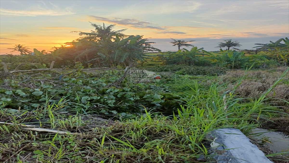 Land 4.5 Ares Jln Pantai Kedungu, Tabanan ST-3093