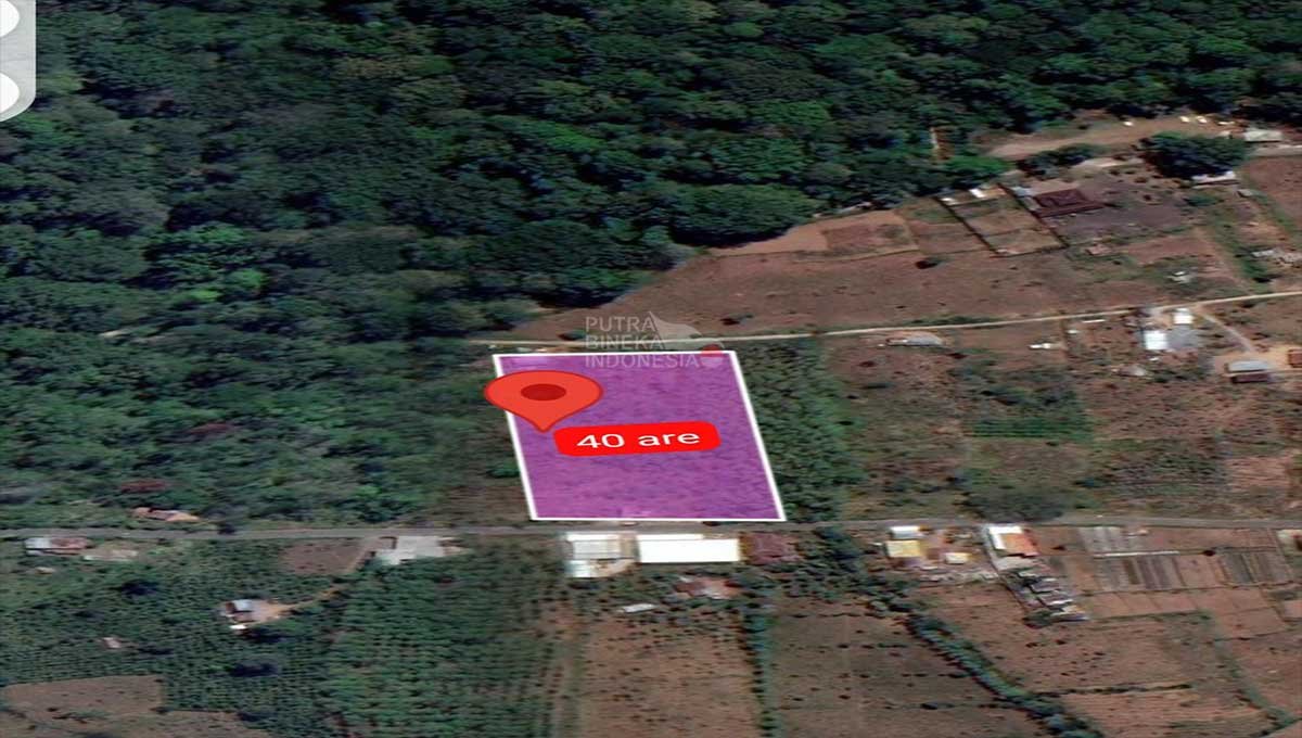 Land 40 Are View Beach Munduk,Buleleng ST-3142