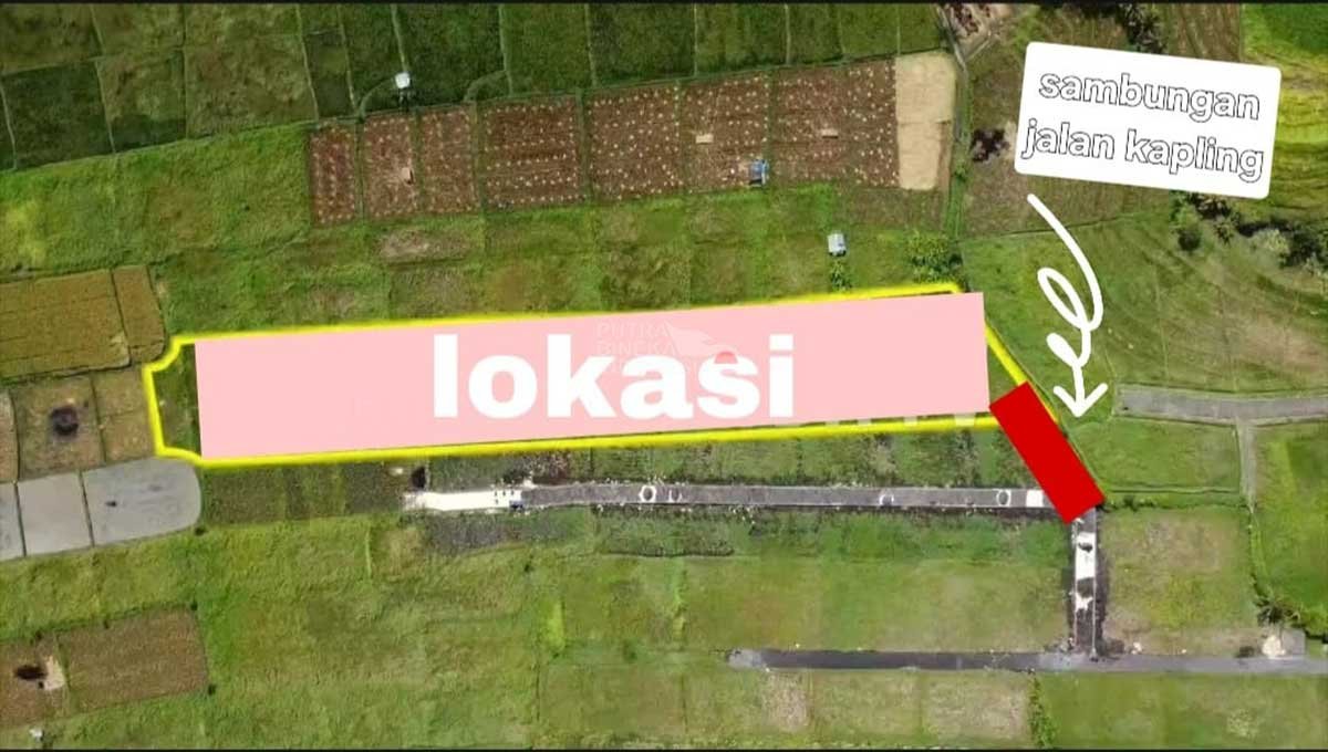 Land View Rice Fields 50 Are In Kedungu Bali ST-3200