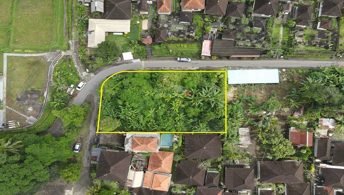 Land 10 Are View Ricefield,Kelusa,Gianyar Bali DR-3212