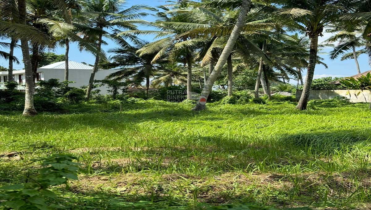 Premium Land 5 Are In Lodtunduh,Gianyar Bali JK-3273