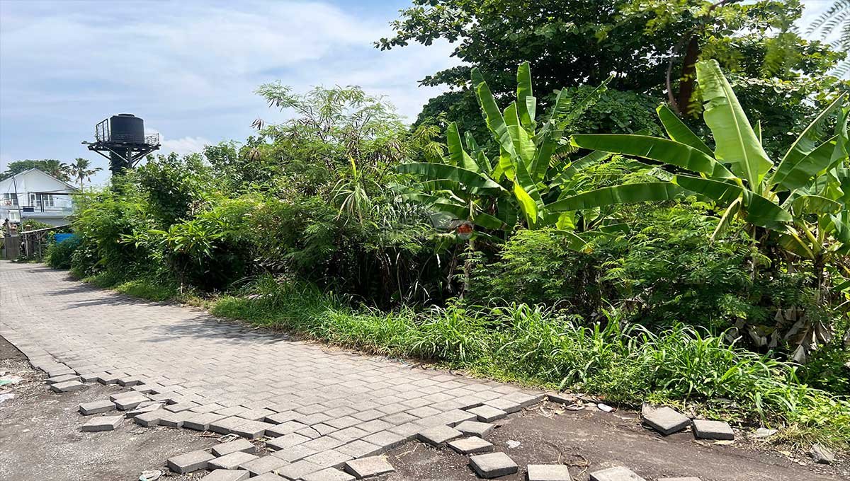 Cheap Land 10,85 Are In Berawa,Canggu Bali ED-3556