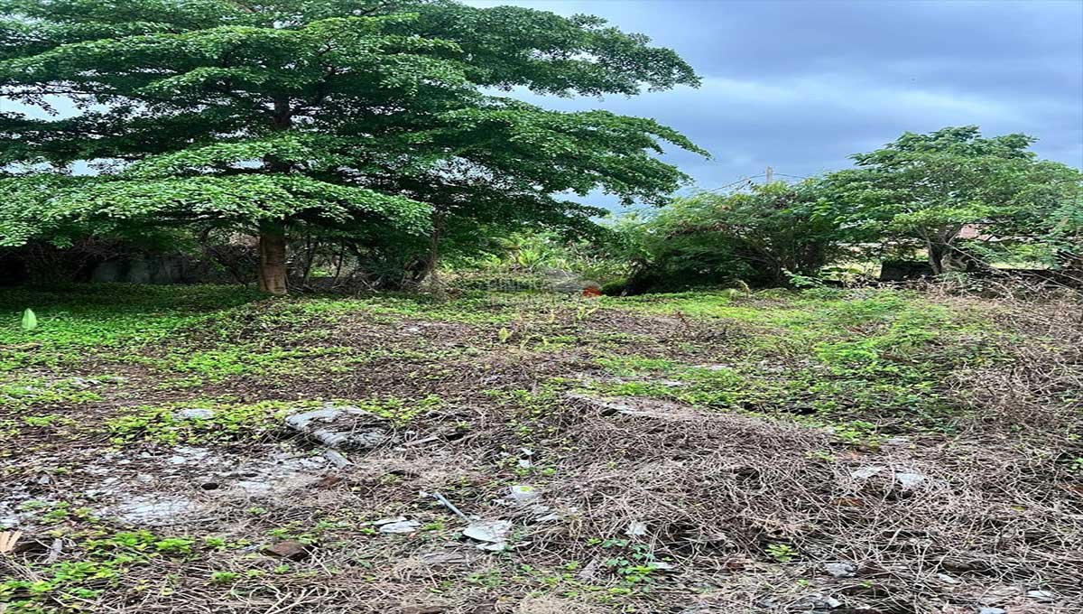 Cheap Land 7,58 Are In Berawa,Canggu Bali ED-3557