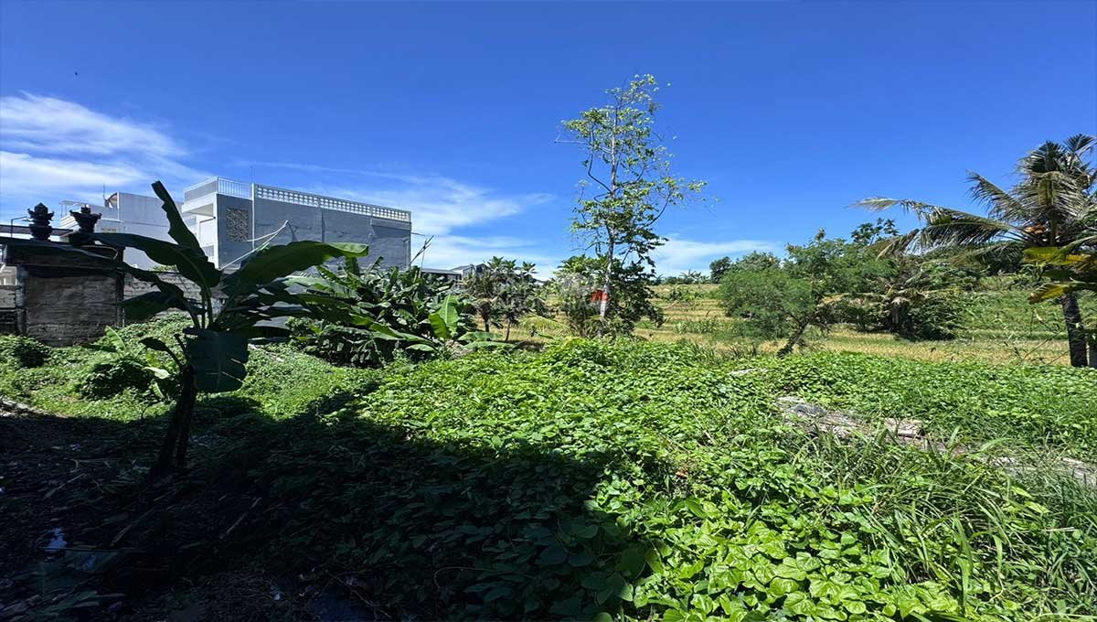 Land For Sale 2,15 Are In Buduk,Near Tumbak Bayuh DR-3767