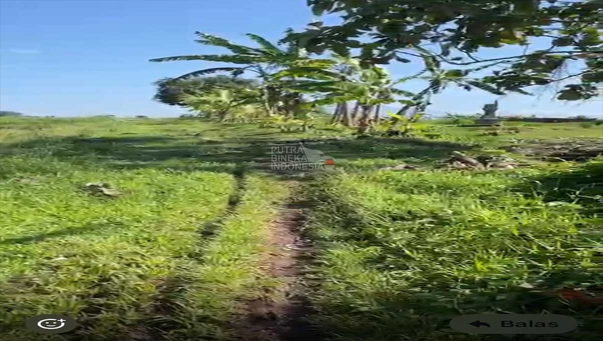 Cheap Land for Sale 3 Are In Kelating,Tibubiu Bali JH-3750