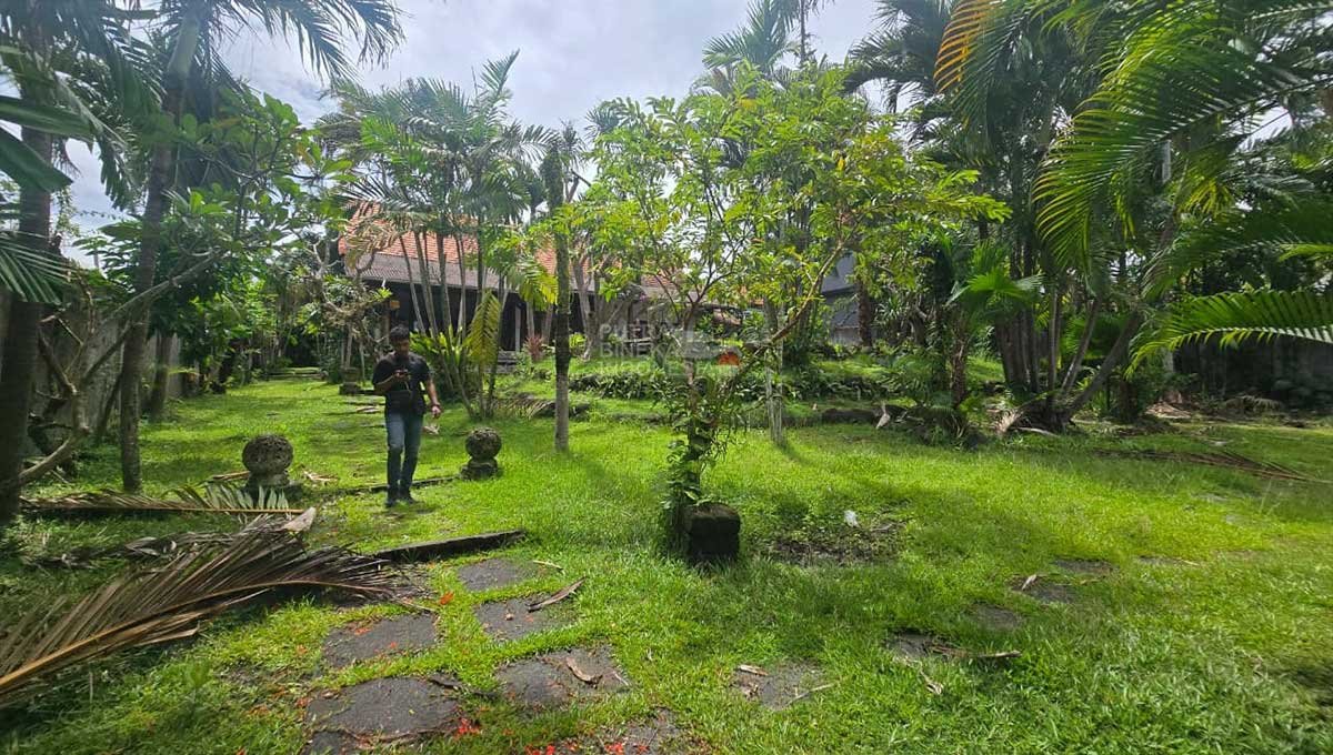 Land Leasehold 25 Year 28 Are In Batu Bolong Bali EK-3974