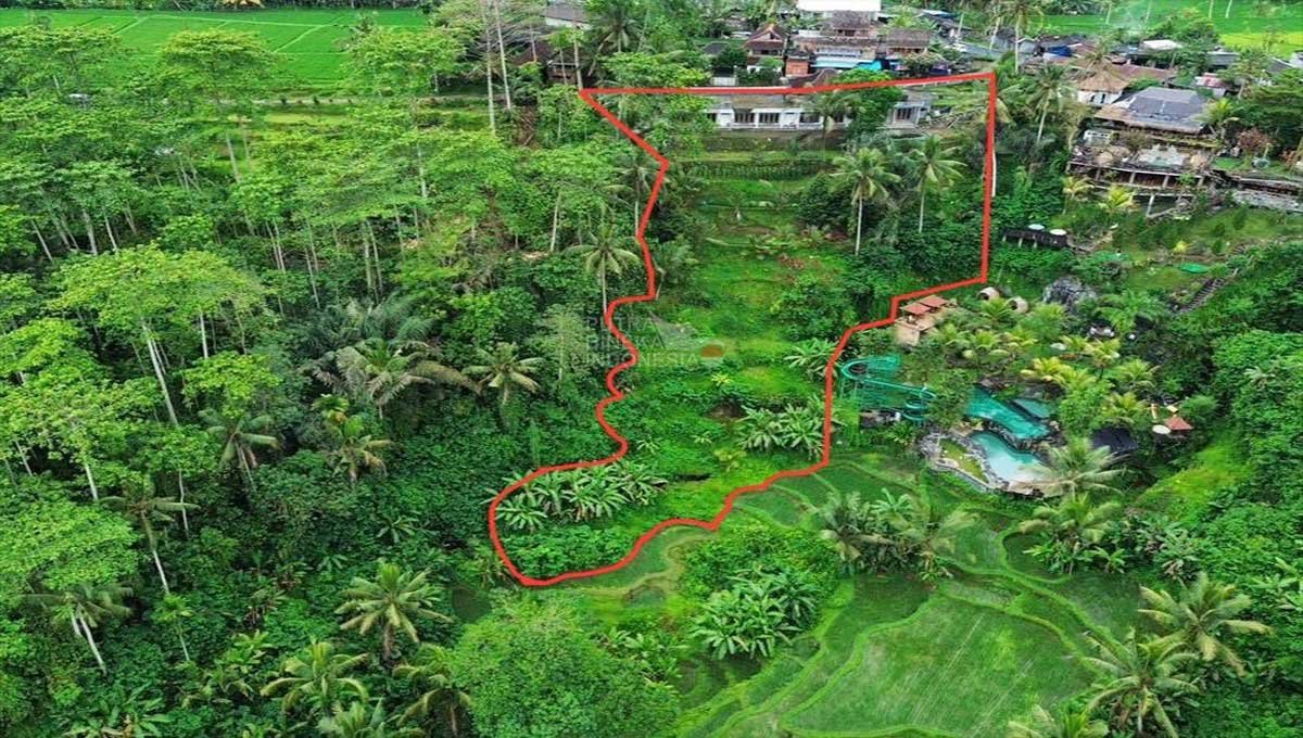 Land For Sale 34 Are In Utara Ubud,Gianyar Bali JK-3901