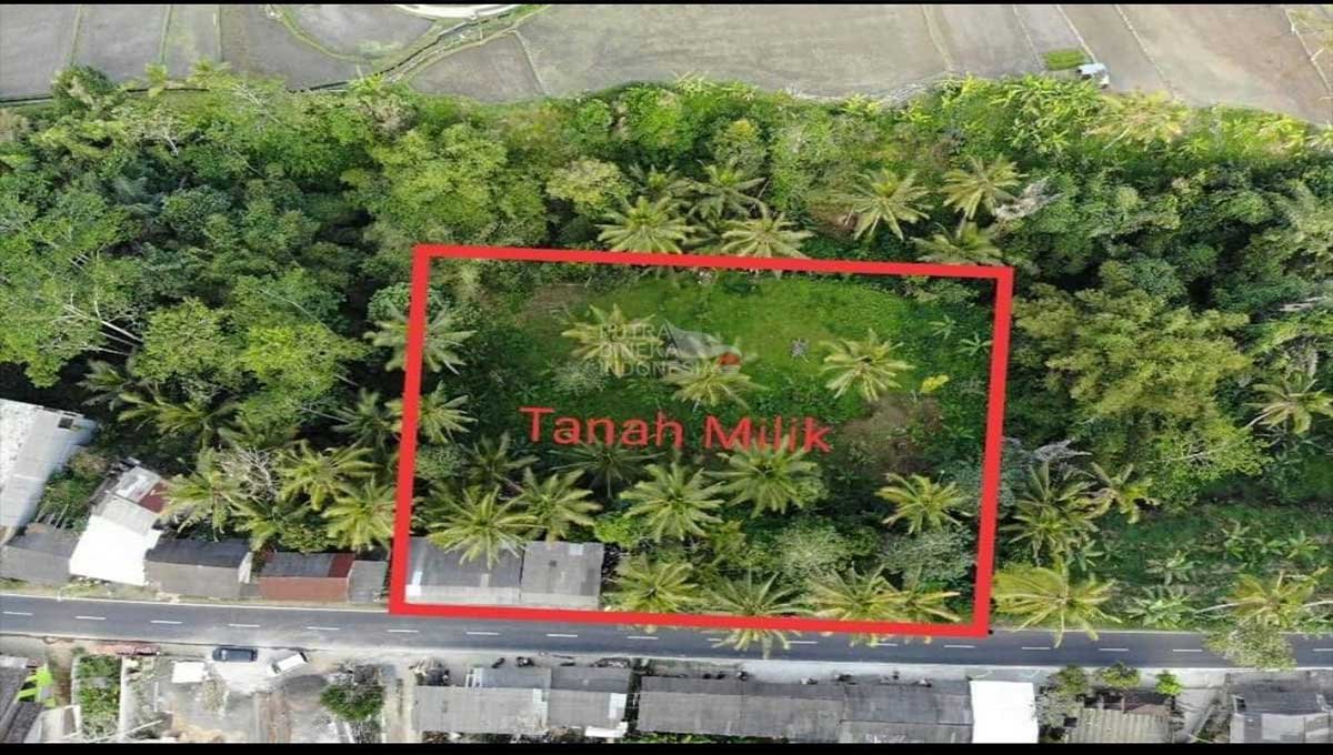Land For Sale 31,5 Are In Tegallalang,Ubud Bali JK-3902