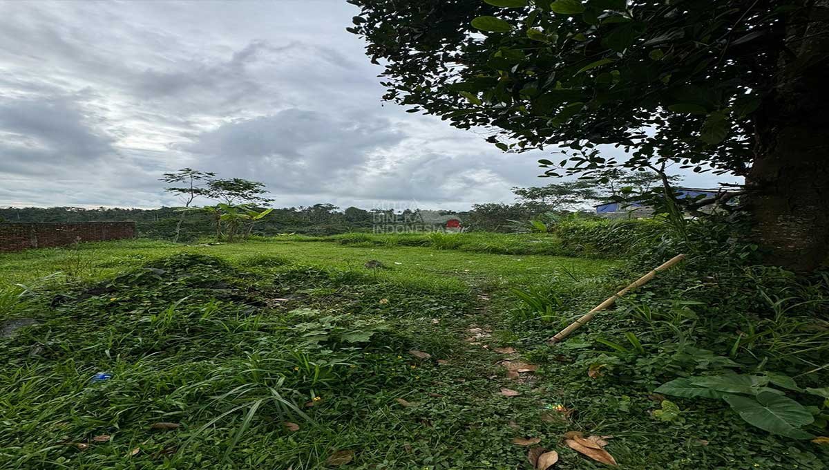 Land For Sale 25,24 Are In Utara Ubud,Gianyar Bali JK-3898