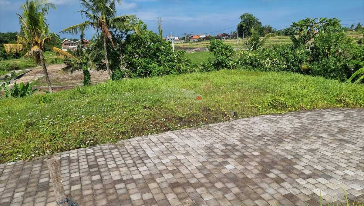 Land For Sale 4,5 Are In Jl Pantai Kedungu Bali EK-4057