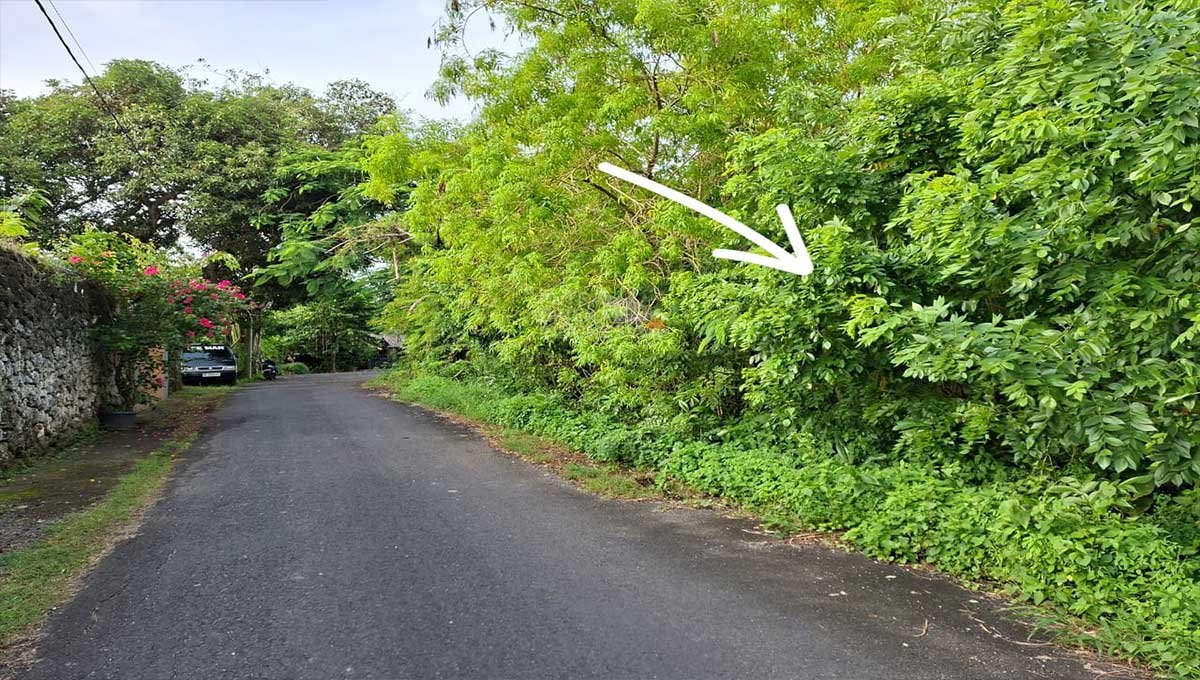 Land For Rent 3,96 Are In Jl Temu Dewi,Pecatu IJ-4106