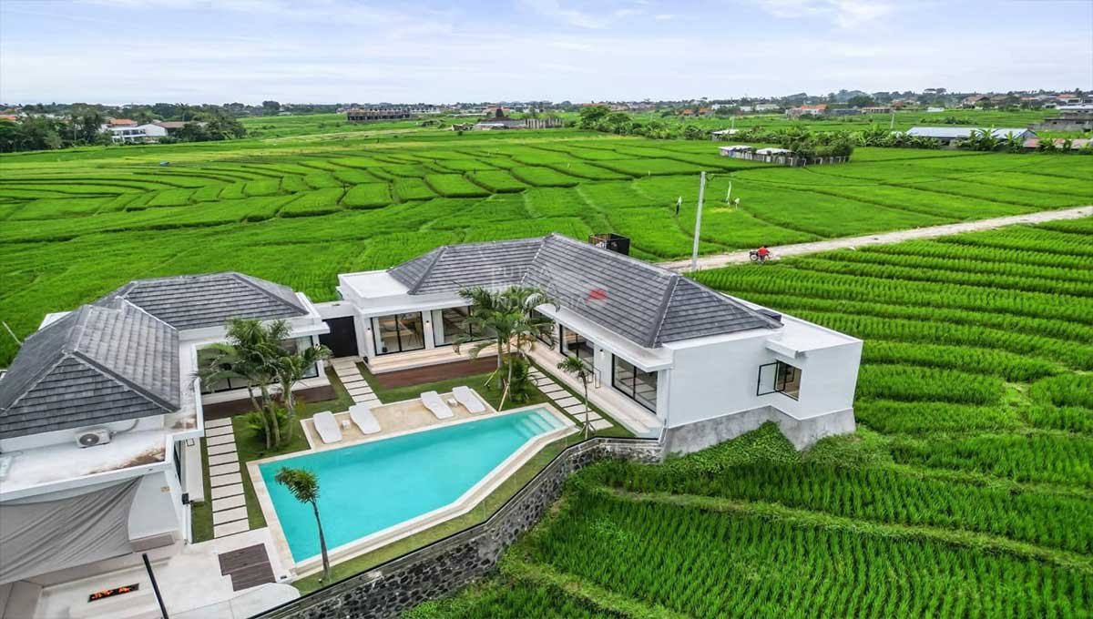 Villa For Rent 5 Bed In Pererenan,Badung Bali PO-4201